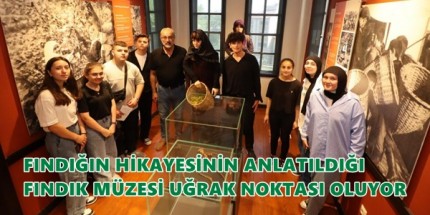 Fındığın Hikayesi İlgi Çekiyor